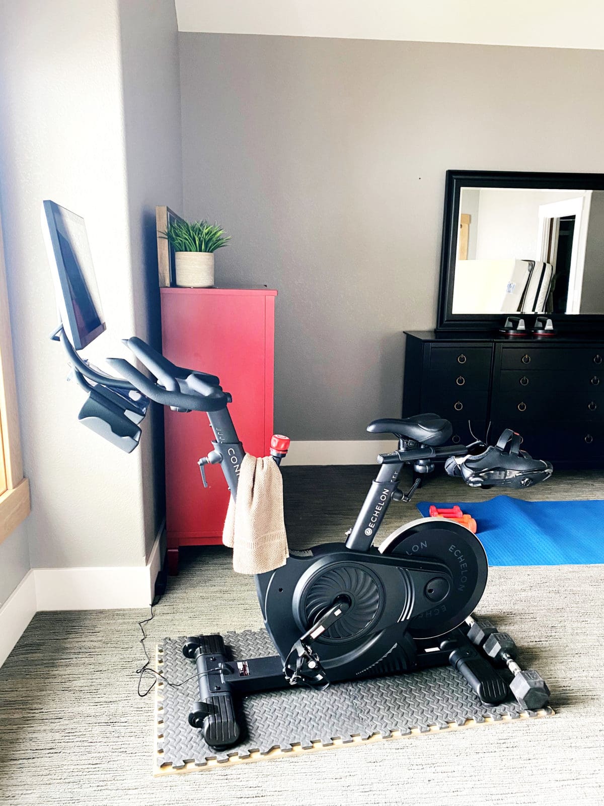 echelon standing bike