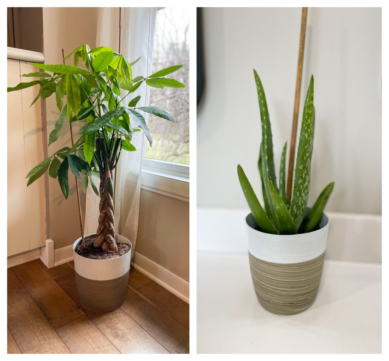 April Amazon Finds Living in Yellow