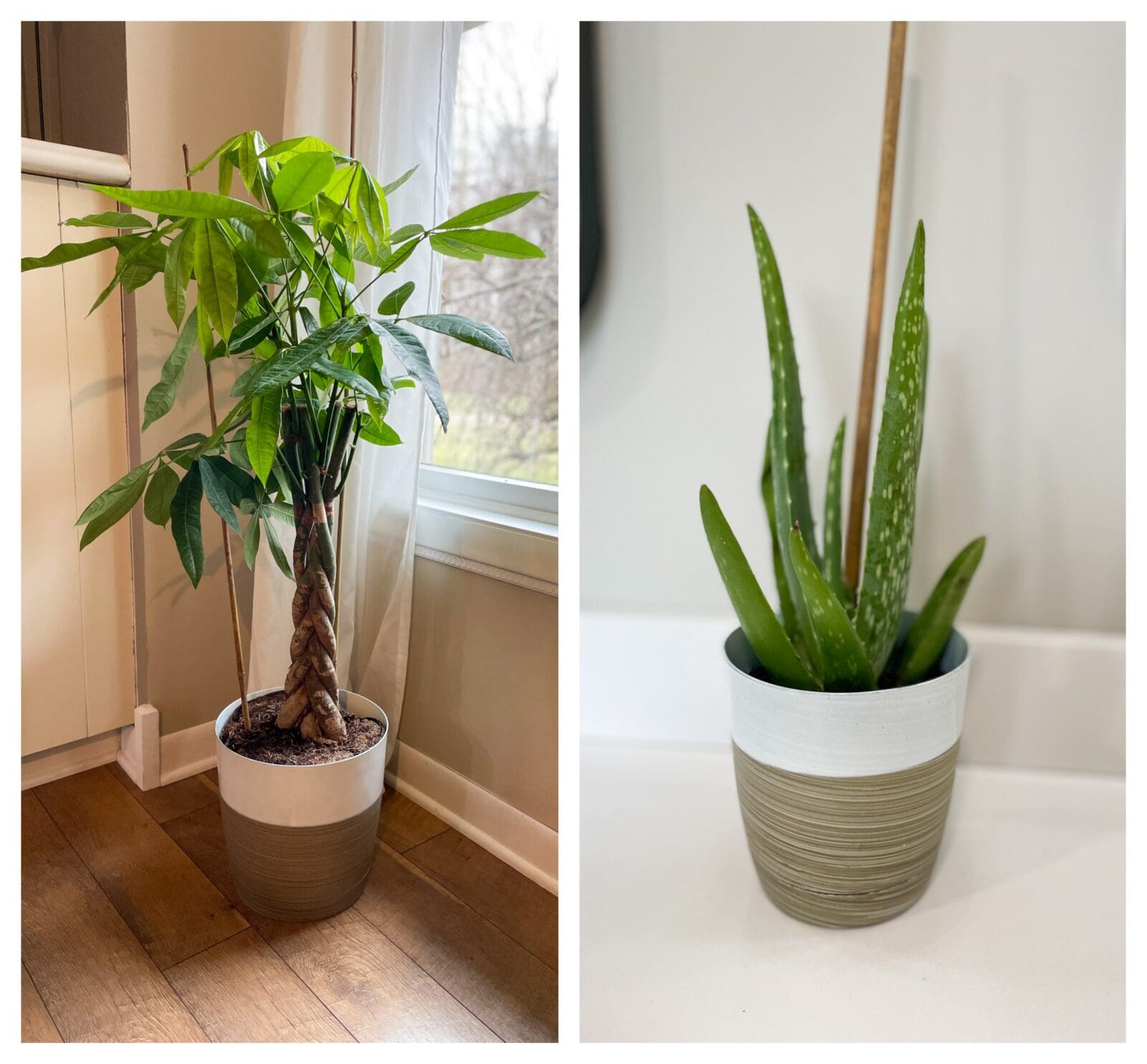 April Amazon Finds Living in Yellow