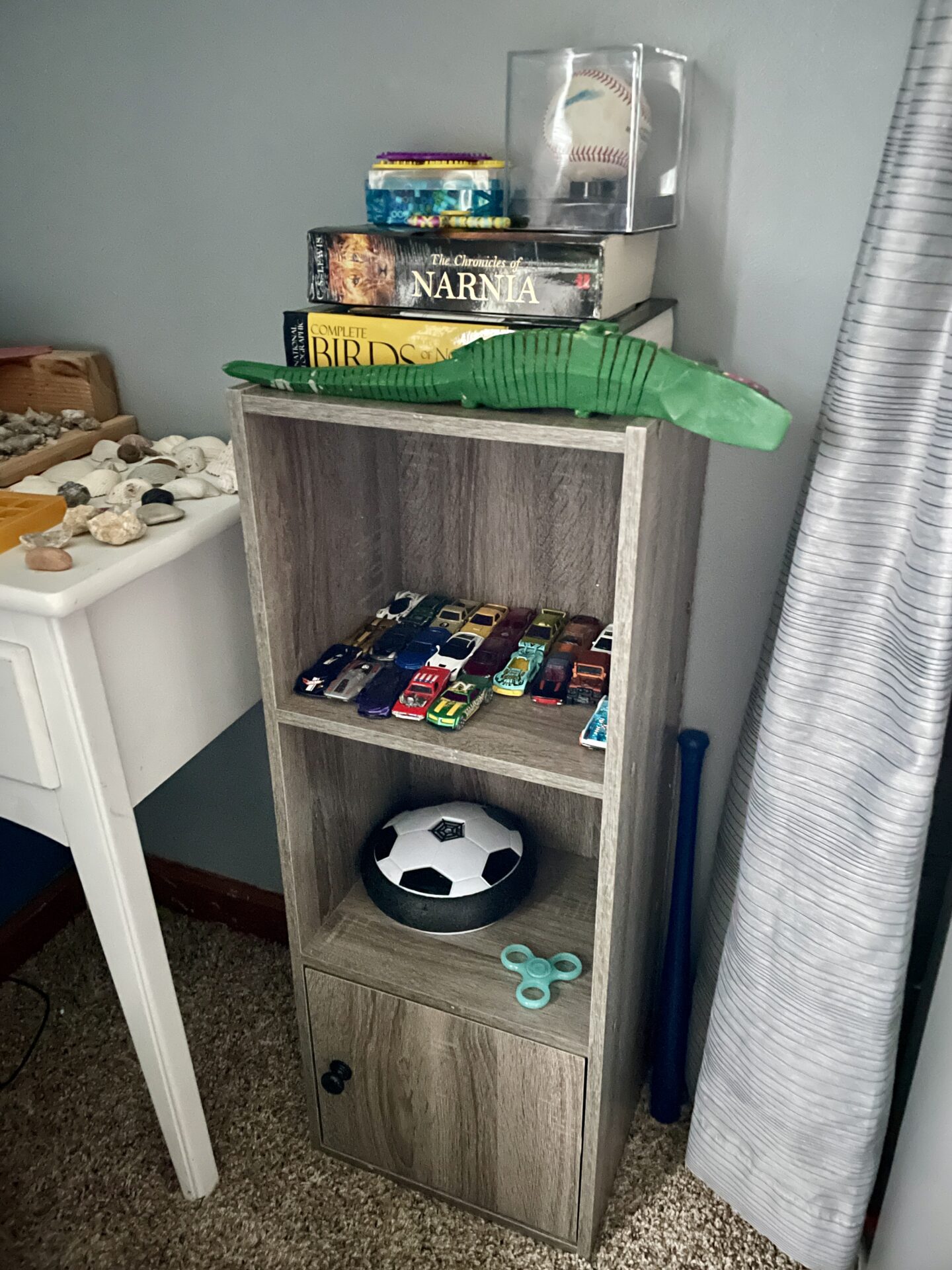 Amazon Organizing Shelf scaled