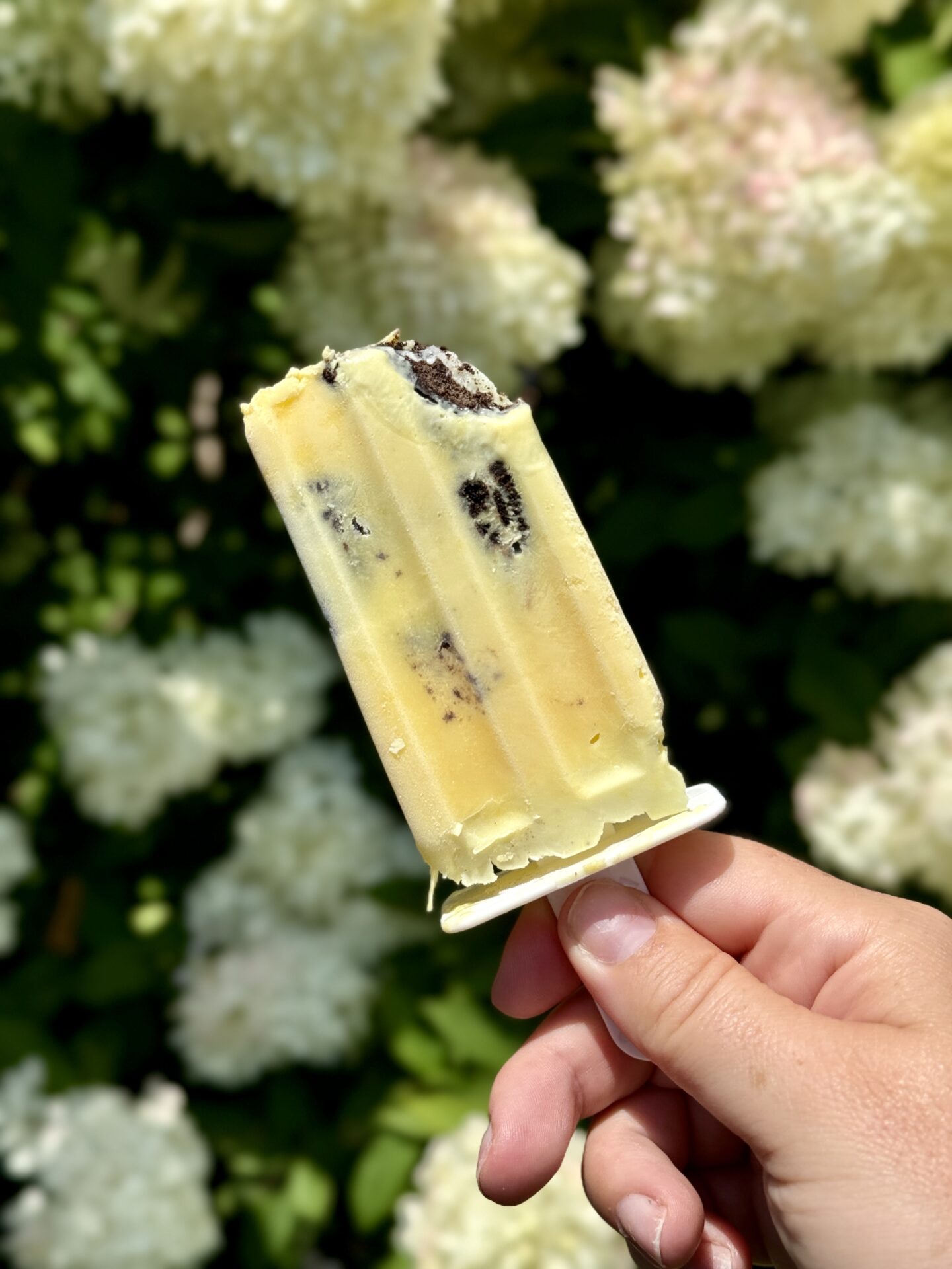 cookies and cream popsicle