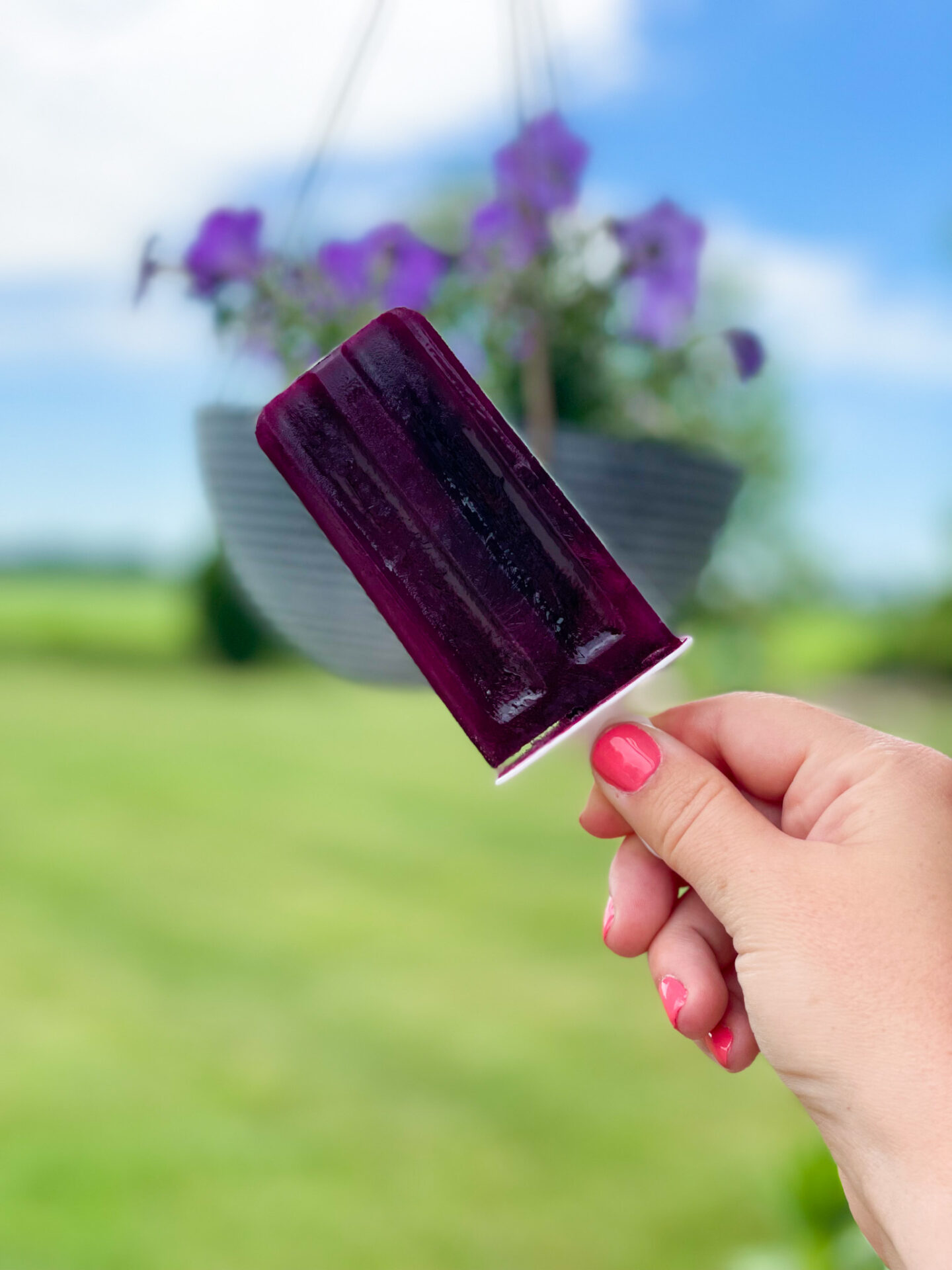 grape popsicle