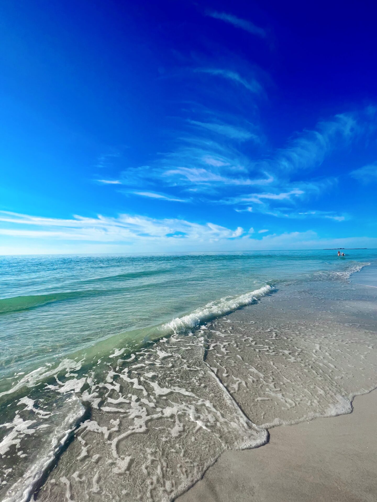 Your Complete Anna Maria Island, FL Guide